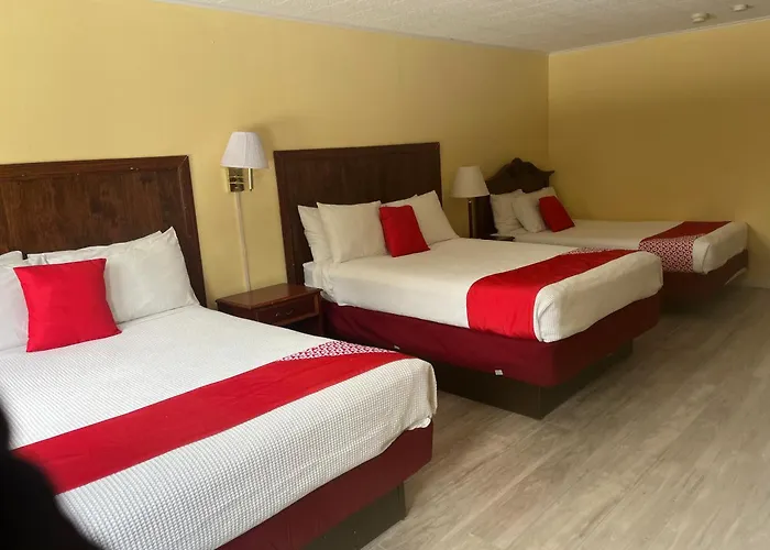 OYO Hotel Buena Vista Delhi
